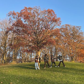 Blackwell Forest Preserve - Parks Near Me Blackwell Forest Preserve - Parks Near Me