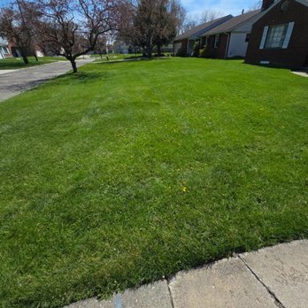 Eagle Eye Lawn Care - Lawn Services Near Me - Monroe, Michigan Eagle Eye Lawn Care - Lawn Services Near Me - Monroe, Michigan