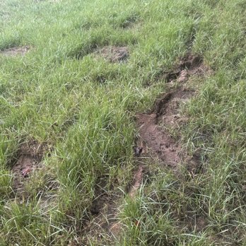 Landscapes By Tidwell - Mud and ruts - Landscaping Near Me