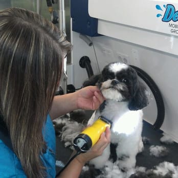Dee-Tails Mobile Pet Grooming - Pet Groomers Near Me