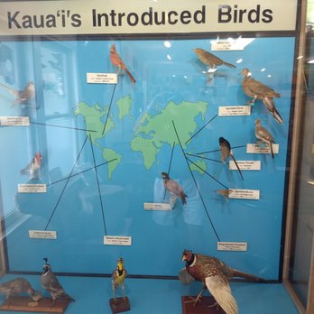 Koke'e Natural History Museum - Museums Near Me - Kekaha, Hawaii