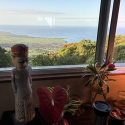 Ka'awa Loa Plantation - Our view from the room. So clean with a nice breeze in Oct. so relaxing