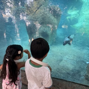 LOS ANGELES ZOO AND BOTANICAL GARDEN - Updated May 2025 - 7753 Photos ...