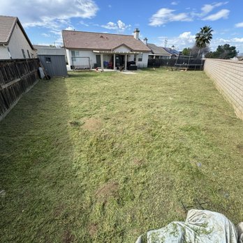 Premier Lawn Care & Maintenance - After - Lawn Services Near Me