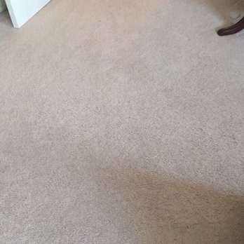 All Aces Carpet Cleaning - Carpet Cleaning Near Me