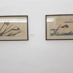 Museum Moderner Kunst Wörlen - Passau - Bilder