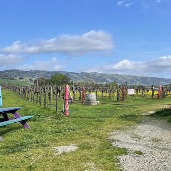 Satori Cellars - Wineries Near Me - Gilroy, California