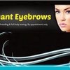 Elegant Eyebrows gift card