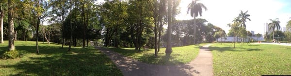 Mount Emily Park by null