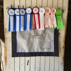 Feather Equestrian