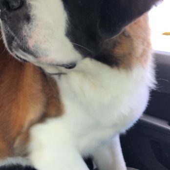 PetSmart - Pet Training Near Me - Rapid City, South Dakota