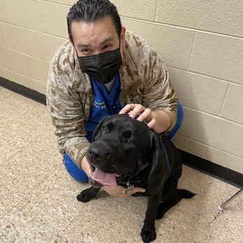 Alhambra Veterinary Hospital - Veterinarians Near Me - Alhambra, California