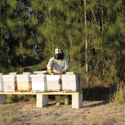 Seminole Bee Farms - Lake Wales Farm