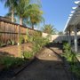 Photo of Cardinal Landscape