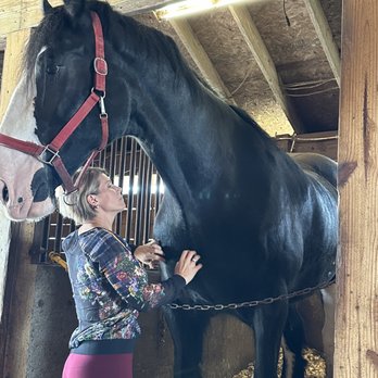 Grandview Clydesdales - Karen Cobbs and one of her champion Clydesdales. - Local Services Near Me - Dunnellon, Florida