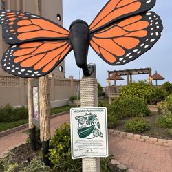 Butterfly Garden