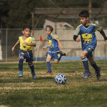 Nordic Soccer - Who's faster? - Soccer Near Me Nordic Soccer - Who's faster? - Soccer Near Me