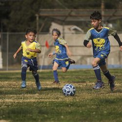 Nordic Soccer - Who's faster?