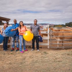 Charlie's Acres Farm Animal Sanctuary
