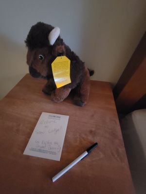 Old Faithful Snow Lodge by null