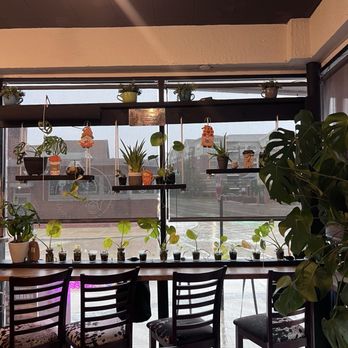 Aroma Cafe - Coffee & Tea Near Me - West Allis, Wisconsin