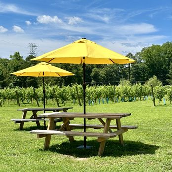 River Dog Winery - Beautiful scenery while sitting outside. - Wineries Near Me - Henrico, Virginia