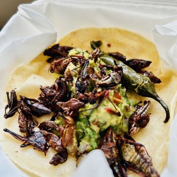 La Cruderia - Grasshopper taco - Mexican Near Me - Houston, Texas La Cruderia - Grasshopper taco - Mexican Near Me - Houston, Texas
