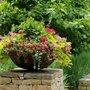 Photo of Amazing Landscaping London