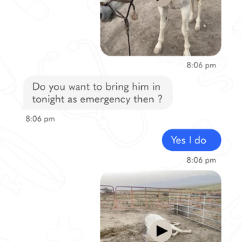 Elko Veterinary Clinic - Veterinarians Near Me - Elko, Nevada