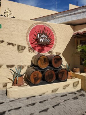 Cabo Wabo Cantina by null