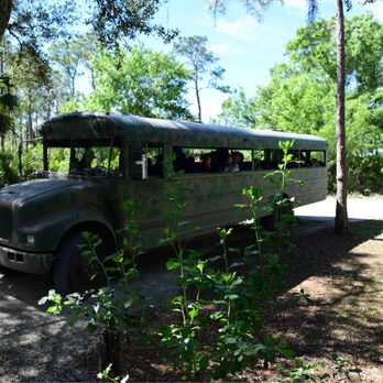 Babcock Ranch Eco Tours - The swamp buggy tour bus - Tours Near Me - Punta Gorda, Florida