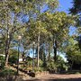 Photo of Wyong Town Park