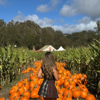 Arata's Pumpkin Farm - Christmas Trees Near Me - Half Moon Bay, California Arata's Pumpkin Farm - Christmas Trees Near Me - Half Moon Bay, California