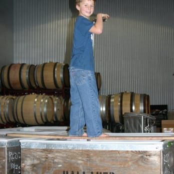 Drew - Aidan Drew in training - Wineries Near Me - Elk, California