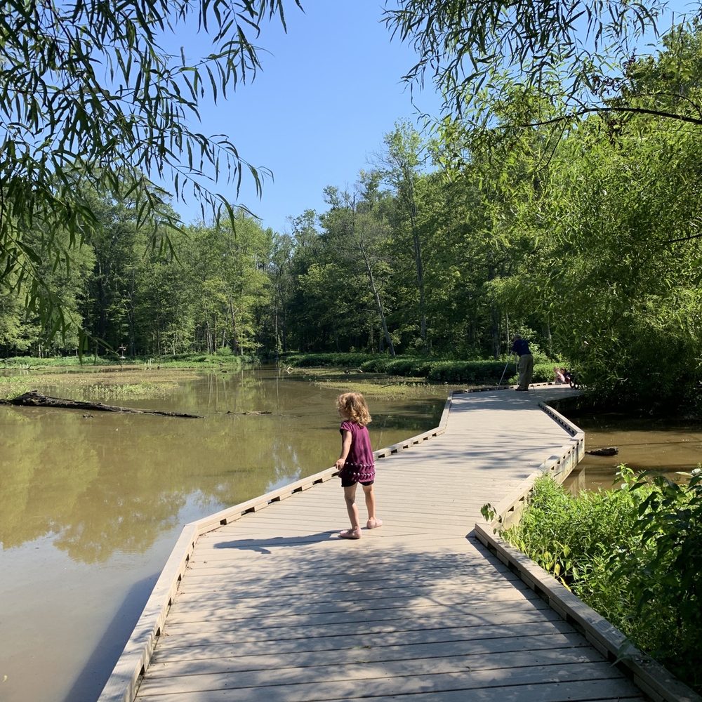 Huntley Meadows Park - Parks Near Me - Alexandria, Virginia Huntley Meadows Park - Parks Near Me - Alexandria, Virginia