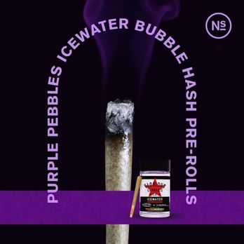 New Standard Saugatuck - Cannabis Dispensaries Near Me - Saugatuck, Michigan New Standard Saugatuck - Cannabis Dispensaries Near Me - Saugatuck, Michigan