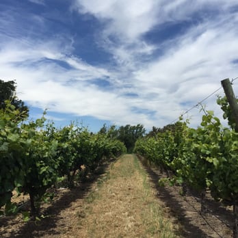 Saintsbury - Wineries Near Me - Napa, California Saintsbury - Wineries Near Me - Napa, California
