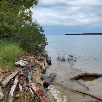 Caledon State Park - Mash lands trail allows a peak of the water. - Hiking Near Me - King George, Virginia
