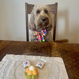 Grain free cupcake and pup tarts Grain free cupcake and pup tarts