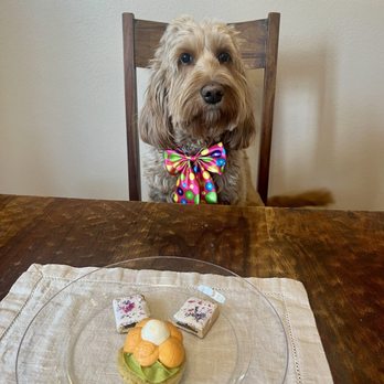 Three Dog Bakery - Grain free cupcake and pup tarts - Pet Stores Near Me - Las Vegas, Nevada Three Dog Bakery - Grain free cupcake and pup tarts - Pet Stores Near Me - Las Vegas, Nevada