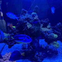 Beautiful displays