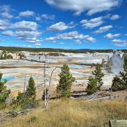Norris Geyser Basin - Overlook view