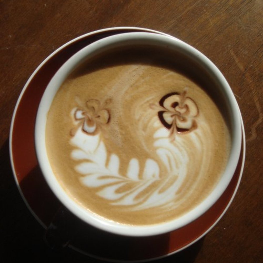 The Fresh Pot - A talented barista makes her mark - Coffee & Tea Near Me - Portland, Oregon The Fresh Pot - A talented barista makes her mark - Coffee & Tea Near Me - Portland, Oregon