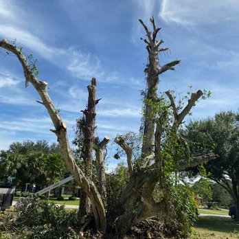 Jim's 2 Men And A Bucket - Tree Services Near Me - Lake Placid, Florida Jim's 2 Men And A Bucket - Tree Services Near Me - Lake Placid, Florida