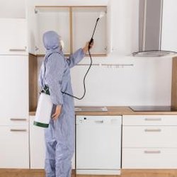 Pestmaster Services - Pestmaster® Services, Inc.