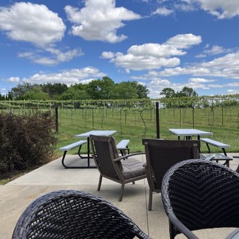 Drumlin Ridge Winery - Grape vines backdrop - Wineries Near Me - Waunakee, Wisconsin