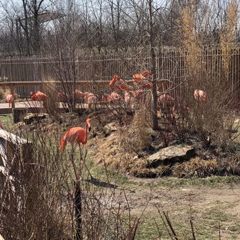 Indianapolis Zoo - Zoos Near Me - Indianapolis, Indiana Indianapolis Zoo - Zoos Near Me - Indianapolis, Indiana