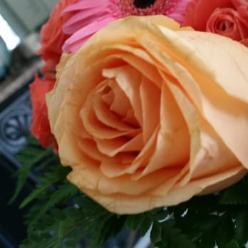 Cleveland the Florist - Florists Near Me - Mobile, Alabama Cleveland the Florist - Florists Near Me - Mobile, Alabama
