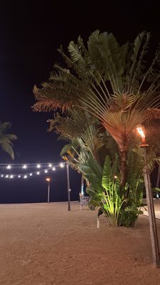 Reefhouse Resort & Marina by null