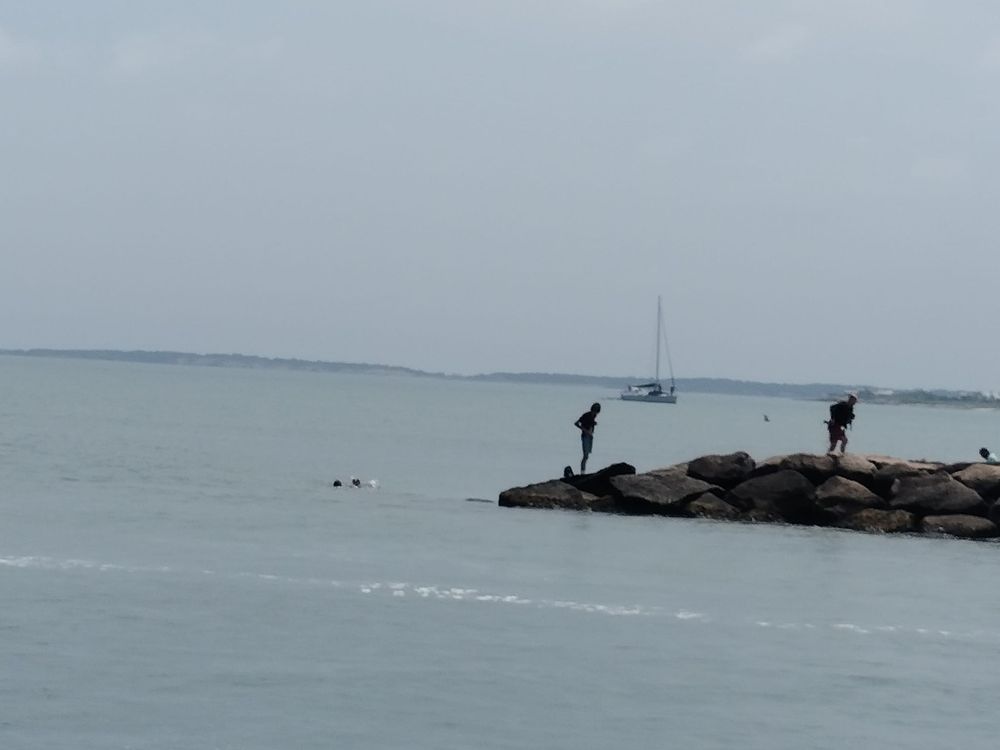 JAWS BRIDGE Updated August 2024 234 Beach Rd, Edgartown